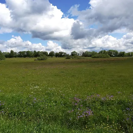 Lichte Zum Wohlfuehlen Bastheim