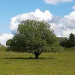 Lichte Zum Wohlfuehlen *