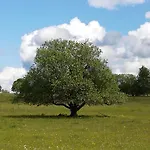 Lichte Zum Wohlfuehlen *