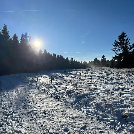 Lichte Zum Wohlfühlen *