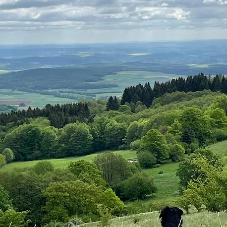 Lichte Zum Wohlfühlen Apartamento